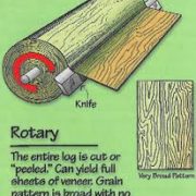 Rotary Cut Veneer illustration