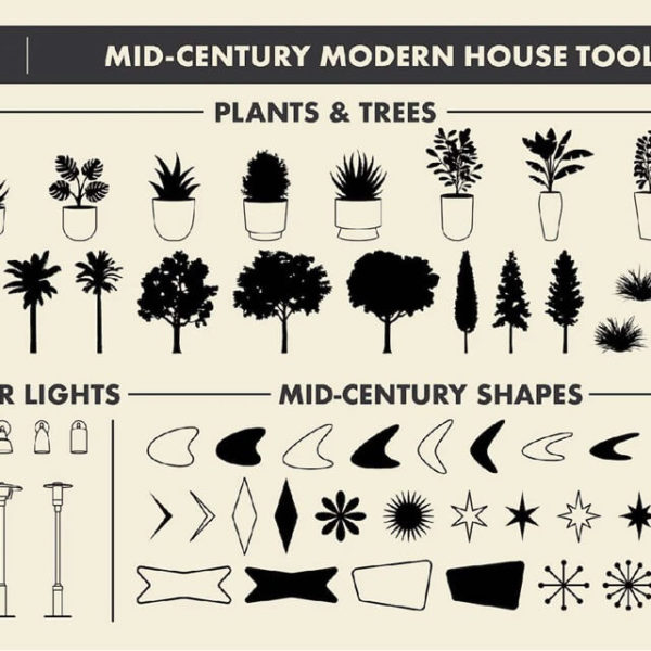 kitchen plants lights shapes illustration